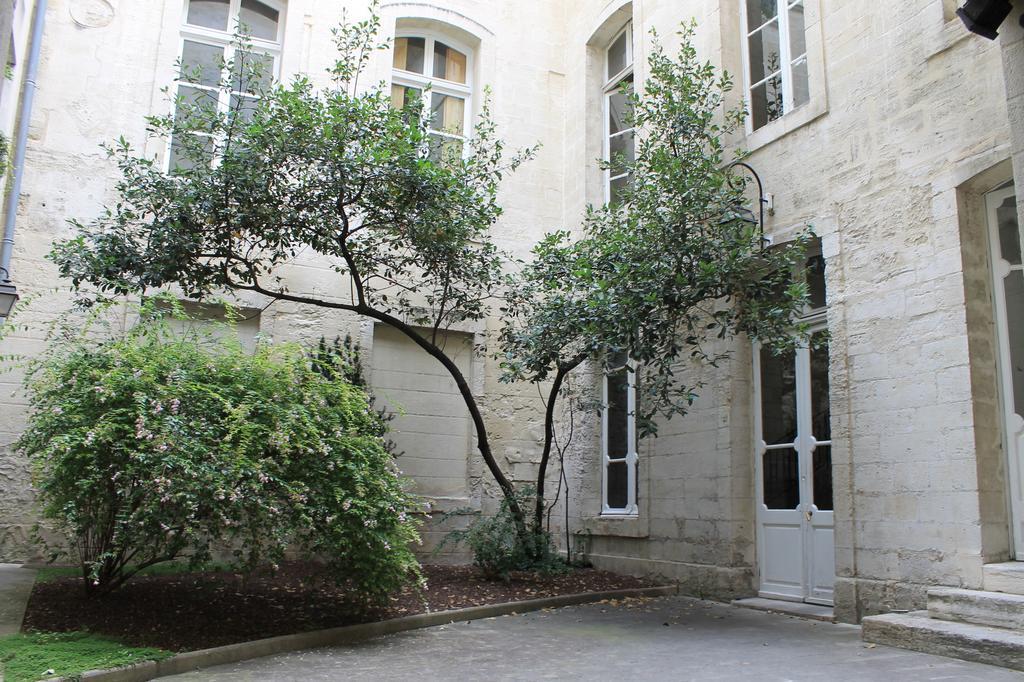 Studio Des Halles Daire Avinyon Dış mekan fotoğraf