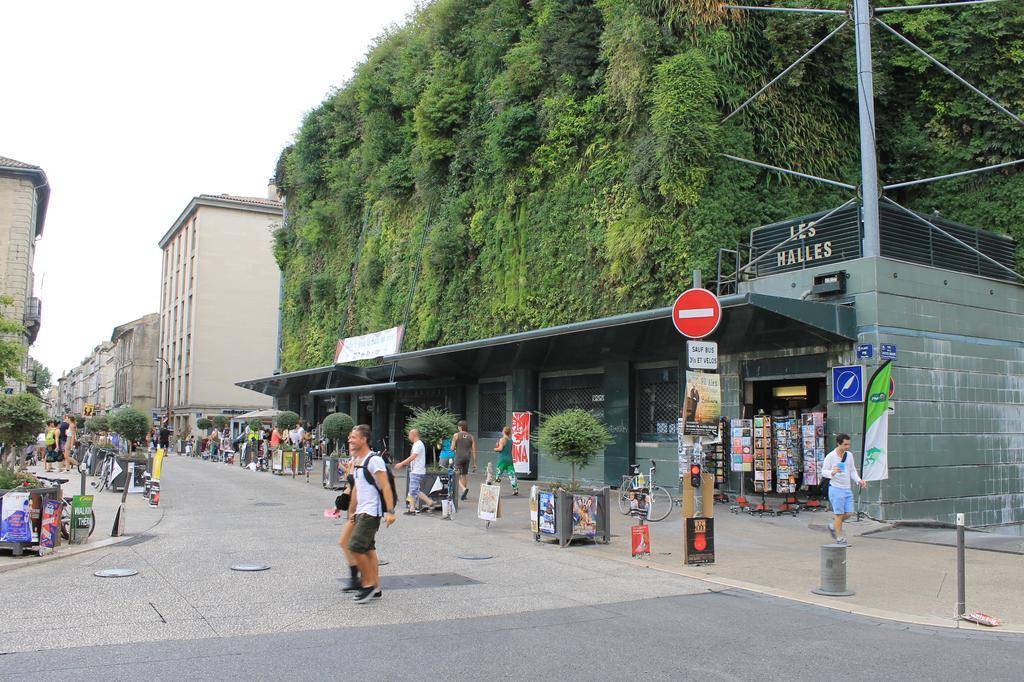 Studio Des Halles Daire Avinyon Dış mekan fotoğraf